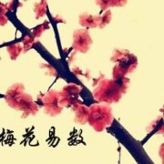 梅花易数象数易理篇三