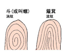 海南算命哪里准：38岁，48岁财运好，事业顺的流纹与涡纹