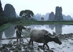 十二生肖2021年6月2日运势测算：休闲游乐运佳