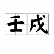 壬戌年壬戌月壬戌日壬戌时