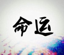 免费八字排盘免费算命