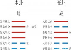 免费算卦