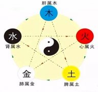 甲子戊子日柱带仙缘八字爱情婚姻运势详批