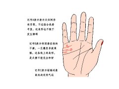 手相算命婚姻