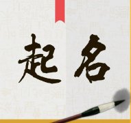 八字算命起名 生肖属鸡的宝宝名字中要带米字旁