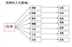 有高学历的四柱与面相