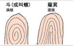 九斗一簸箕的女人婚姻福气详解
