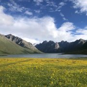 风水常识墓地 是很多人趋之若鹜的