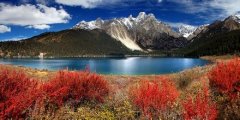 巴塘县算命哪里准